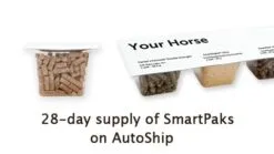 SmartImmune™ Pellets 13 SmartImmune™ Pellets -Deals Equestrian Supplies Store 10017 smartpaks