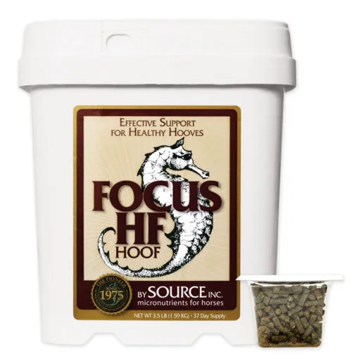 Source FOCUS HF -Deals Equestrian Supplies Store 10133 pcp