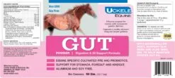 Deals Equestrian Supplies Store -Deals Equestrian Supplies Store 10177 GUT 9 2018