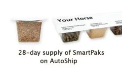 Glanzen 3 -Deals Equestrian Supplies Store 11420 smartpaks