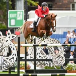 Charles Owen AYR8 Plus Leather Look Helmet 8 Charles Owen AYR8 Plus Leather Look Helmet -Deals Equestrian Supplies Store 19716 lifestyle 1