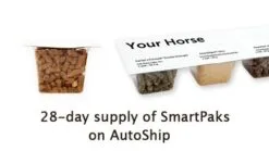 Leg Up® Stomach Pellets -Deals Equestrian Supplies Store 23231 smartpaks