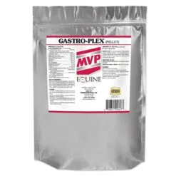 Gastro-Plex Pellets -Deals Equestrian Supplies Store 23348 bag 2021