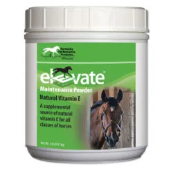 Elevate® Maintenance Powder -Deals Equestrian Supplies Store 23781 bucket