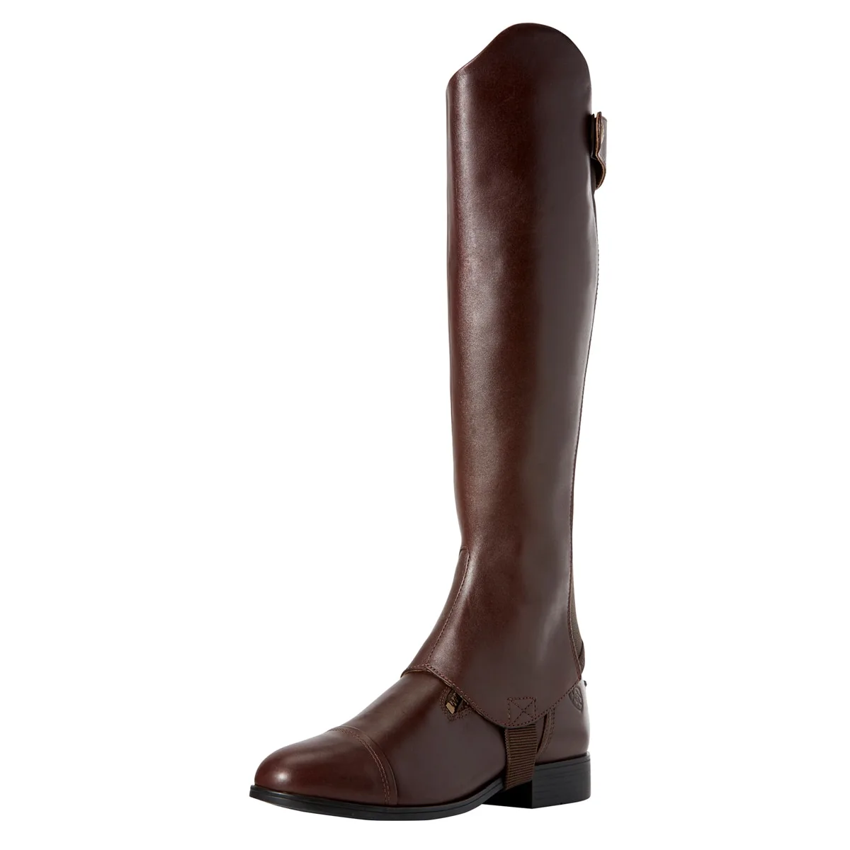 Ariat Kendron Half Chaps 8 Ariat Kendron Half Chaps - Image 8