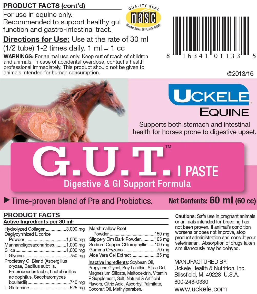 GUT™ Paste 2 GUT™ Paste - Image 2