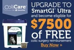 SmartGut® Pellets -Deals Equestrian Supplies Store 73828 Upsell3 SGIU 310x210