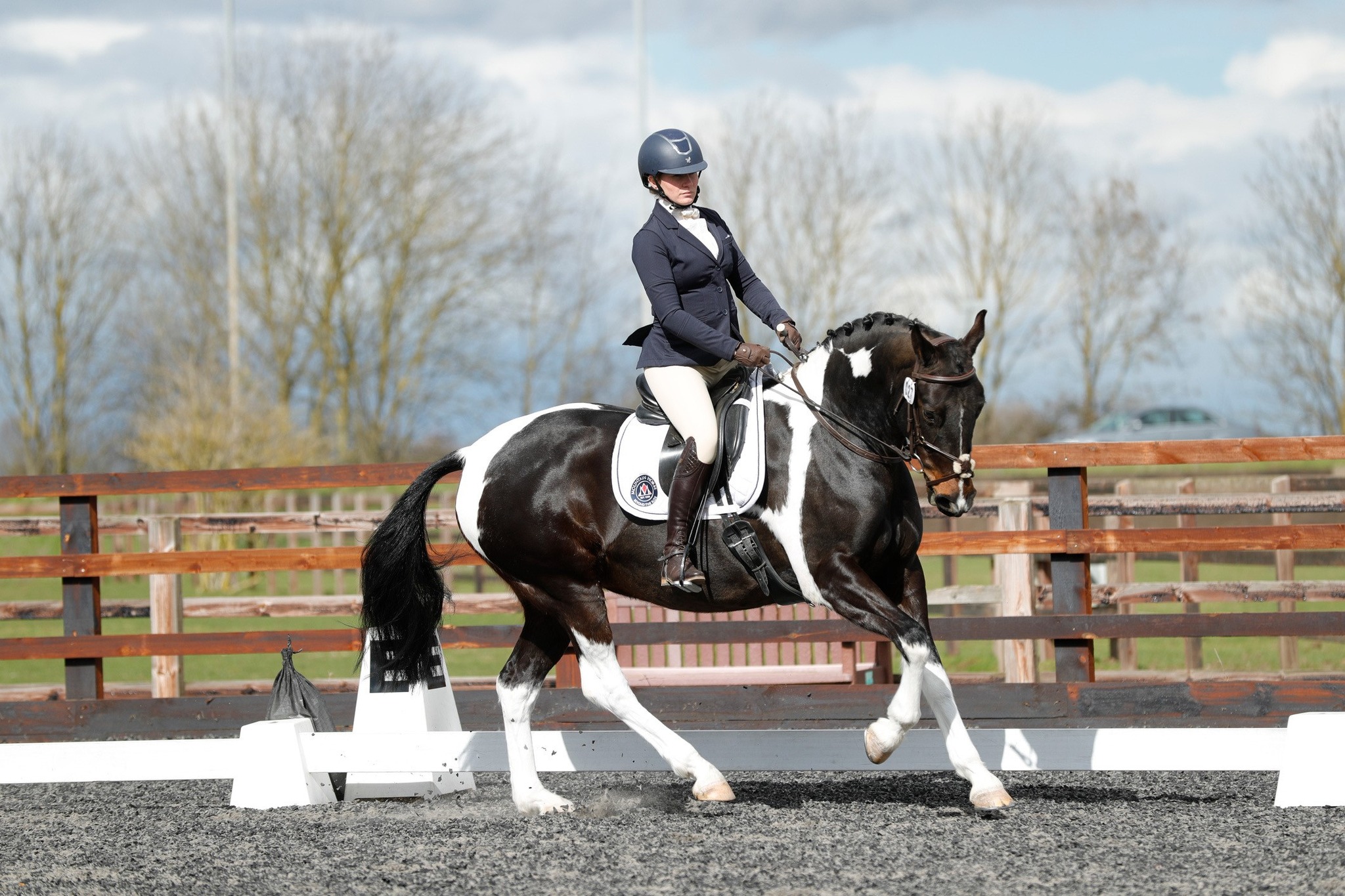 Deals Equestrian Supplies Store -Deals Equestrian Supplies Store 338744937 978927023276816 6590680099863859422 n